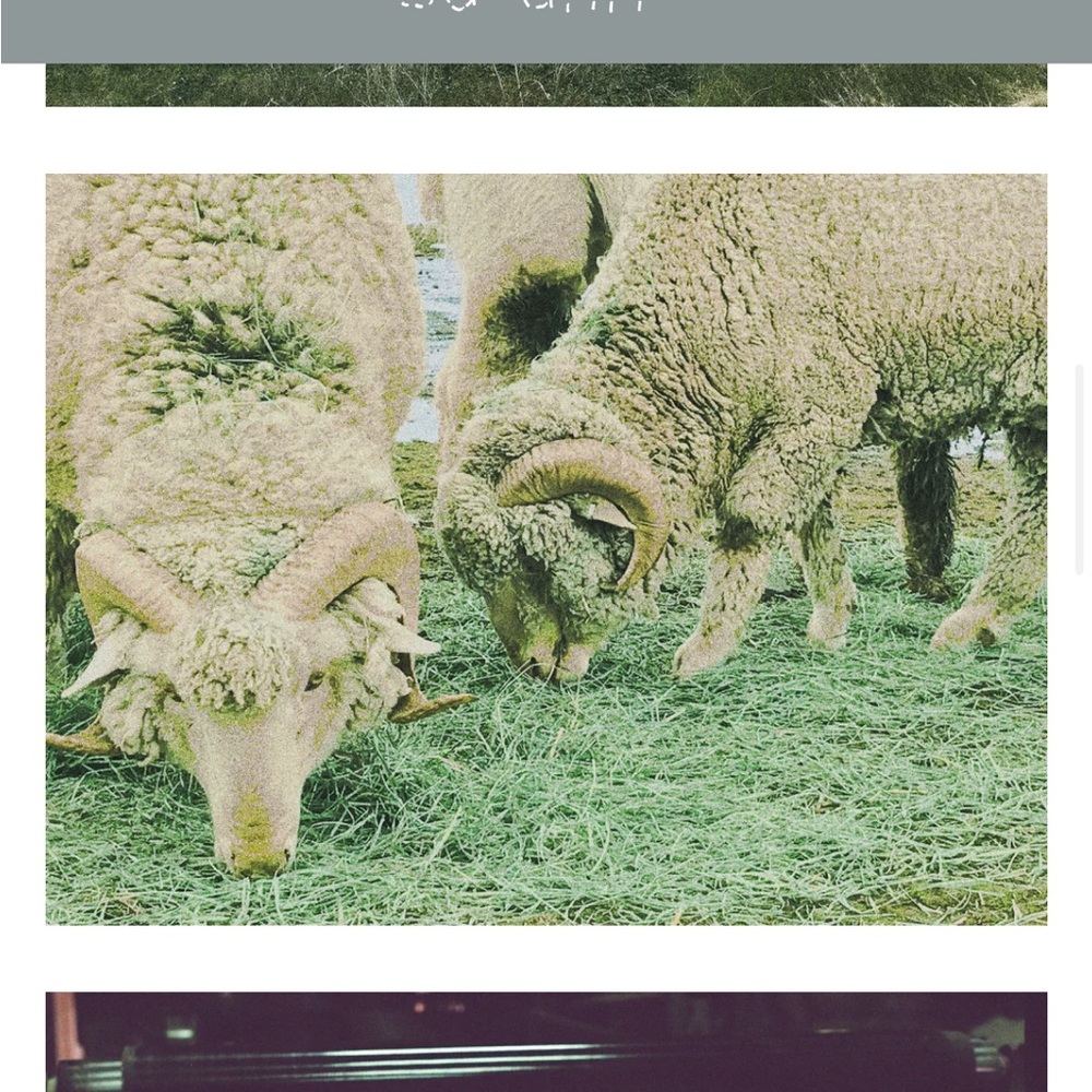 iSO wool fabric